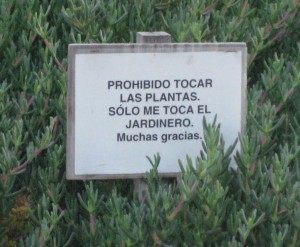 jardin